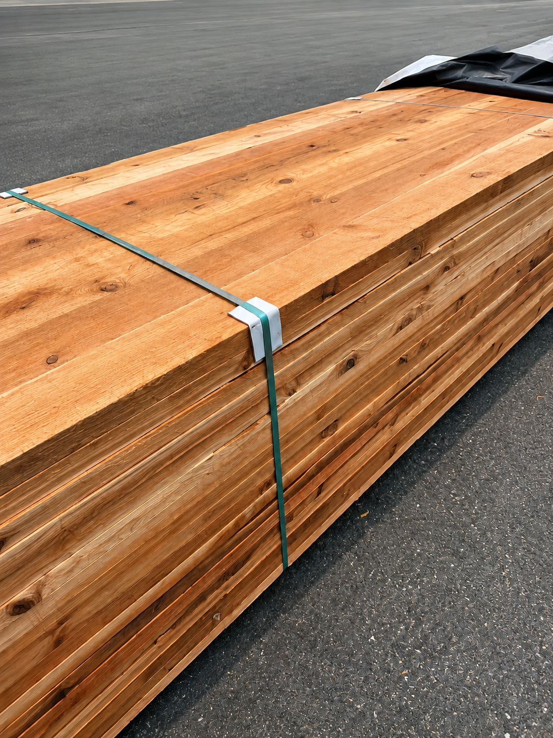 #3 Western Red Cedar example 1